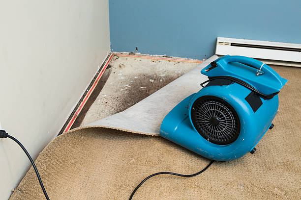 Best Fire Damage Restoration  in Heeia, HI